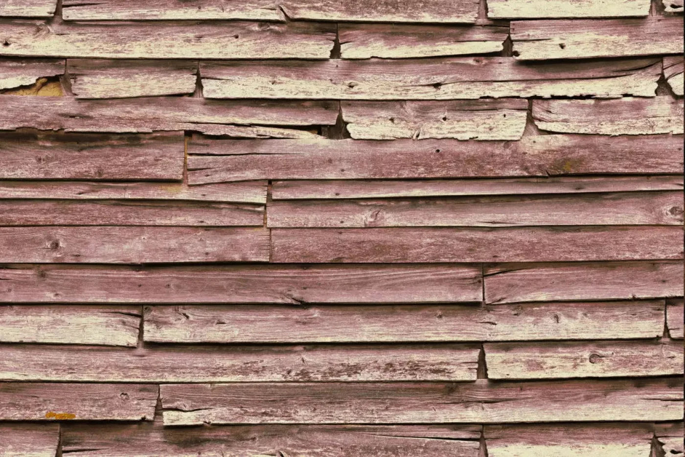 Grandmas Cabin Backdrop