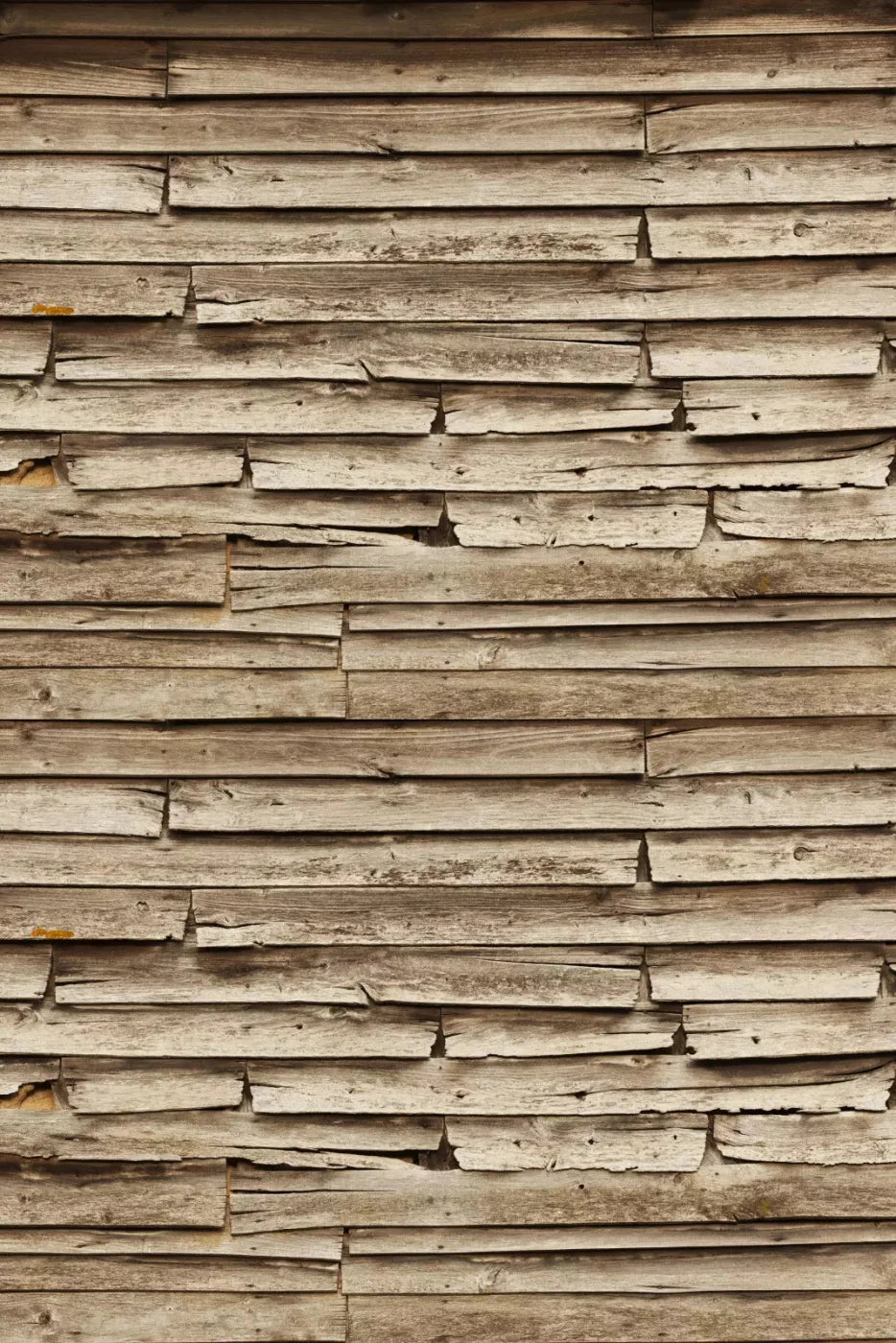 Grandpas Cabin Backdrop
