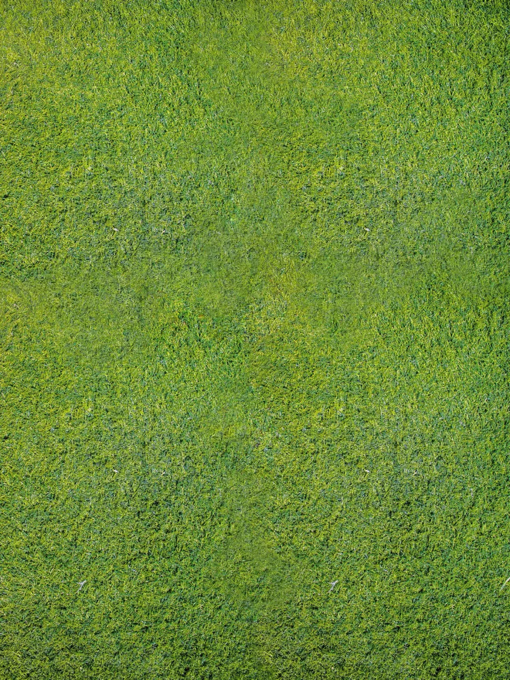 Grass Floor Rubbermat 8X10 ( 96 X 120 Inch )