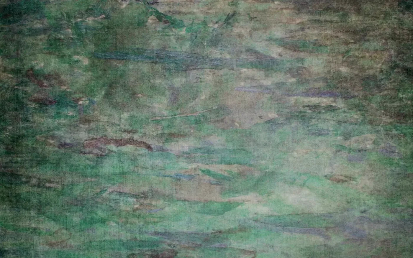 Grassland 14’X9’ Ultracloth (168 X 108 Inch) Backdrop