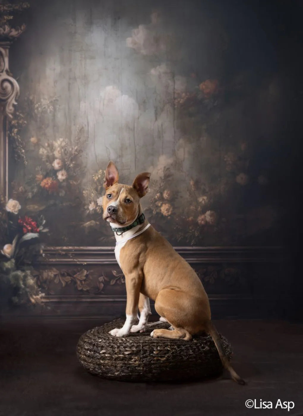 Greco Wall III Landscape Backdrop