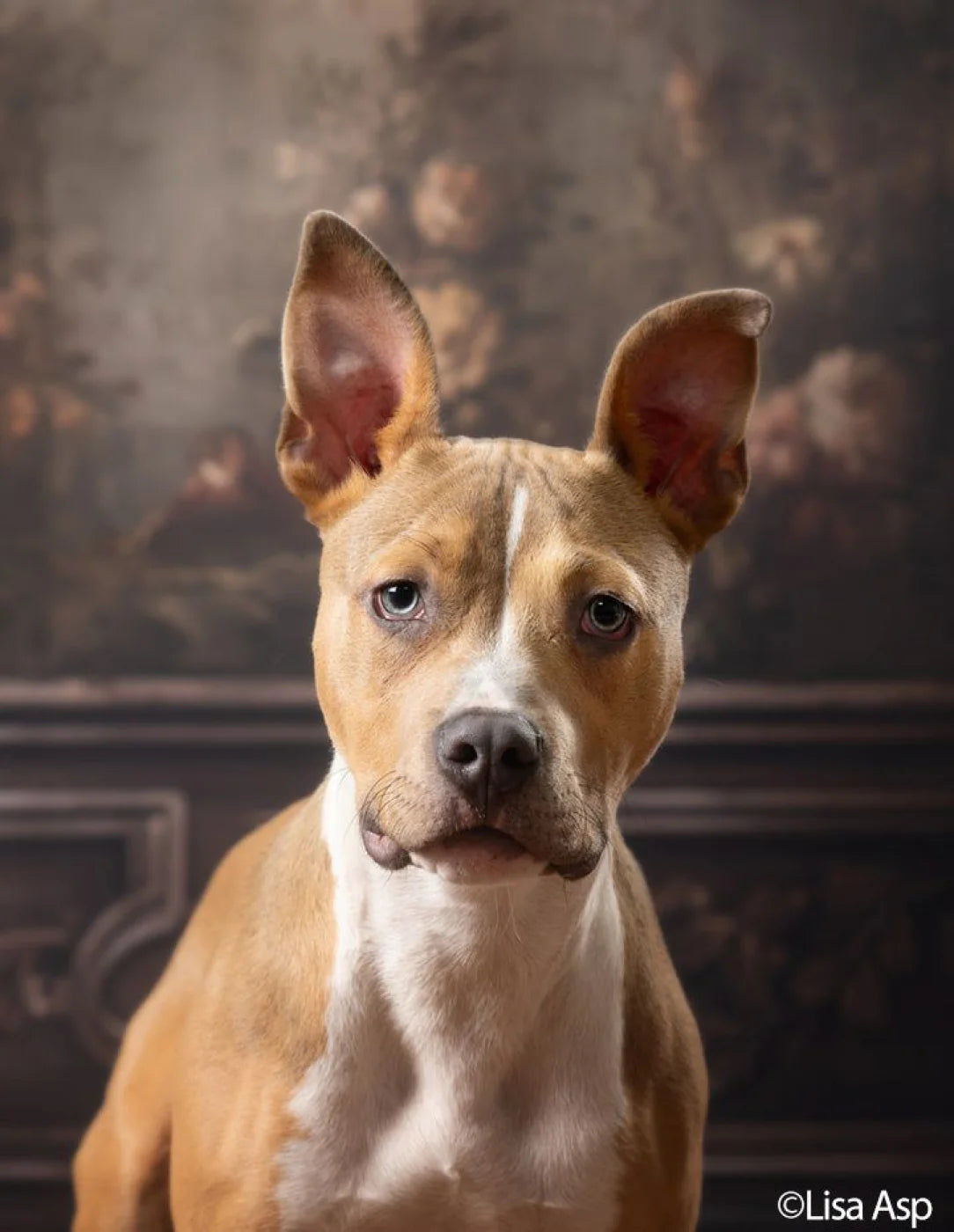 Greco Wall III Landscape Backdrop