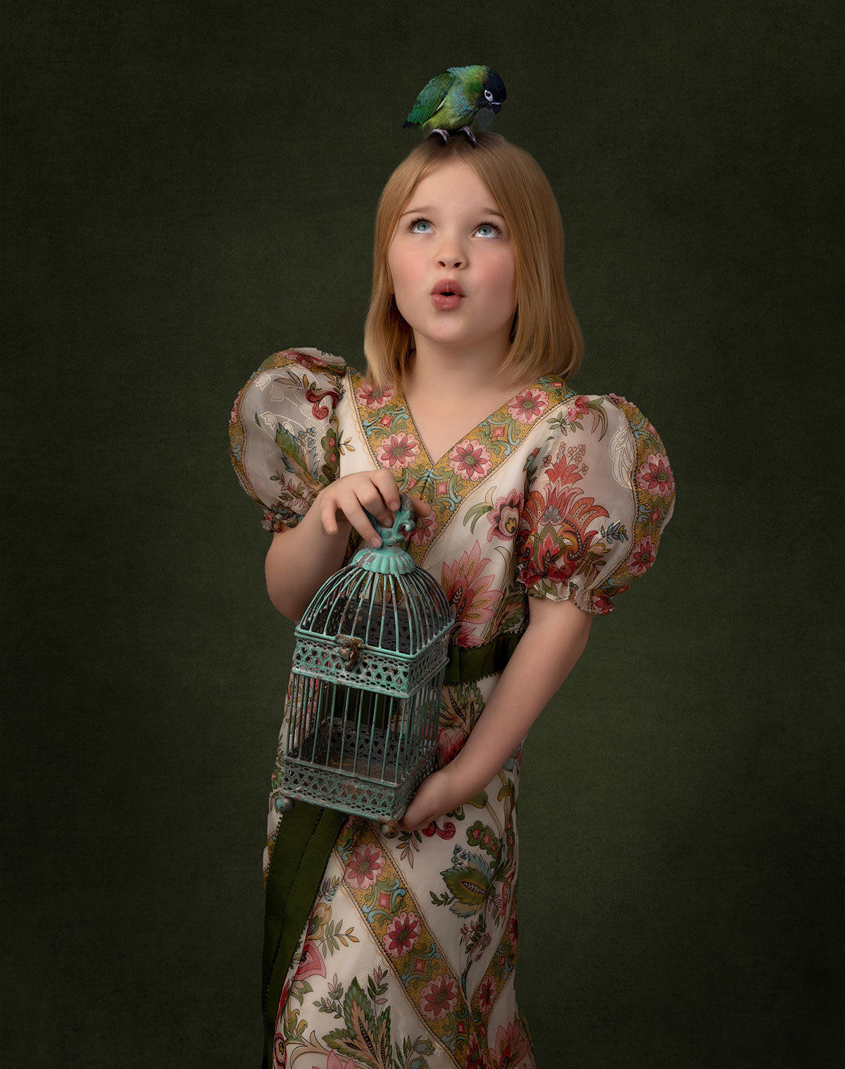 Photography Backdrops - Classic & Masters