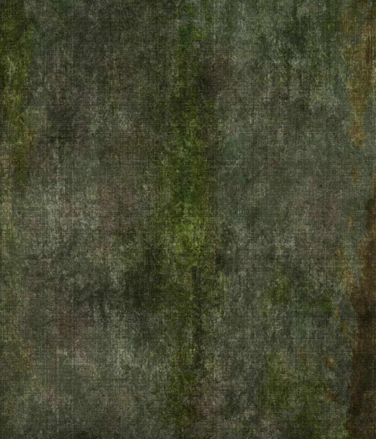 Greenlee 10X12 Ultracloth ( 120 X 144 Inch ) Backdrop
