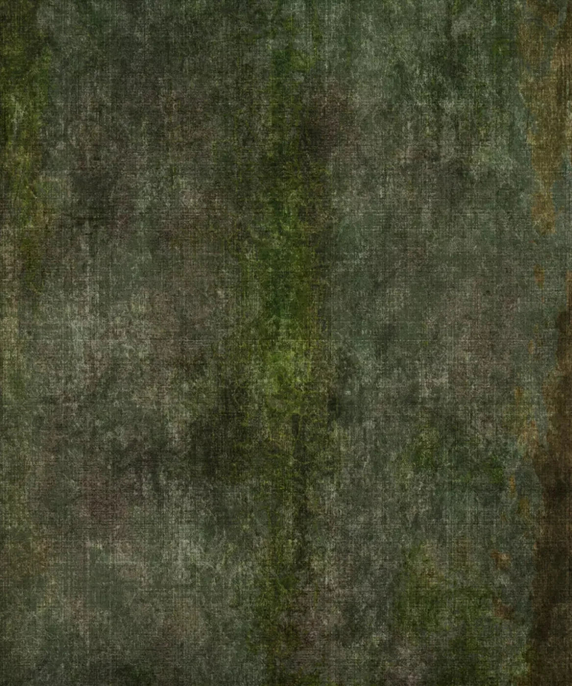 Green Textured Backdrop for Photography