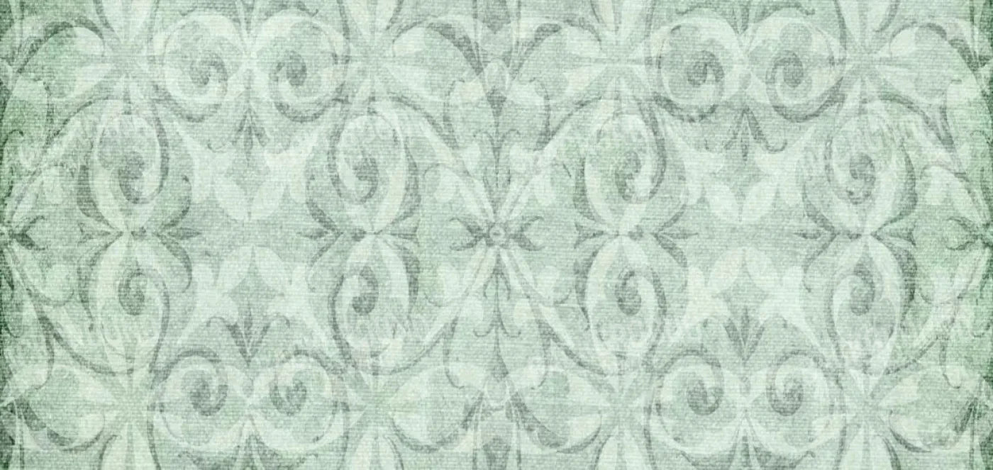 Greenwich 16X8 Ultracloth ( 192 X 96 Inch ) Backdrop