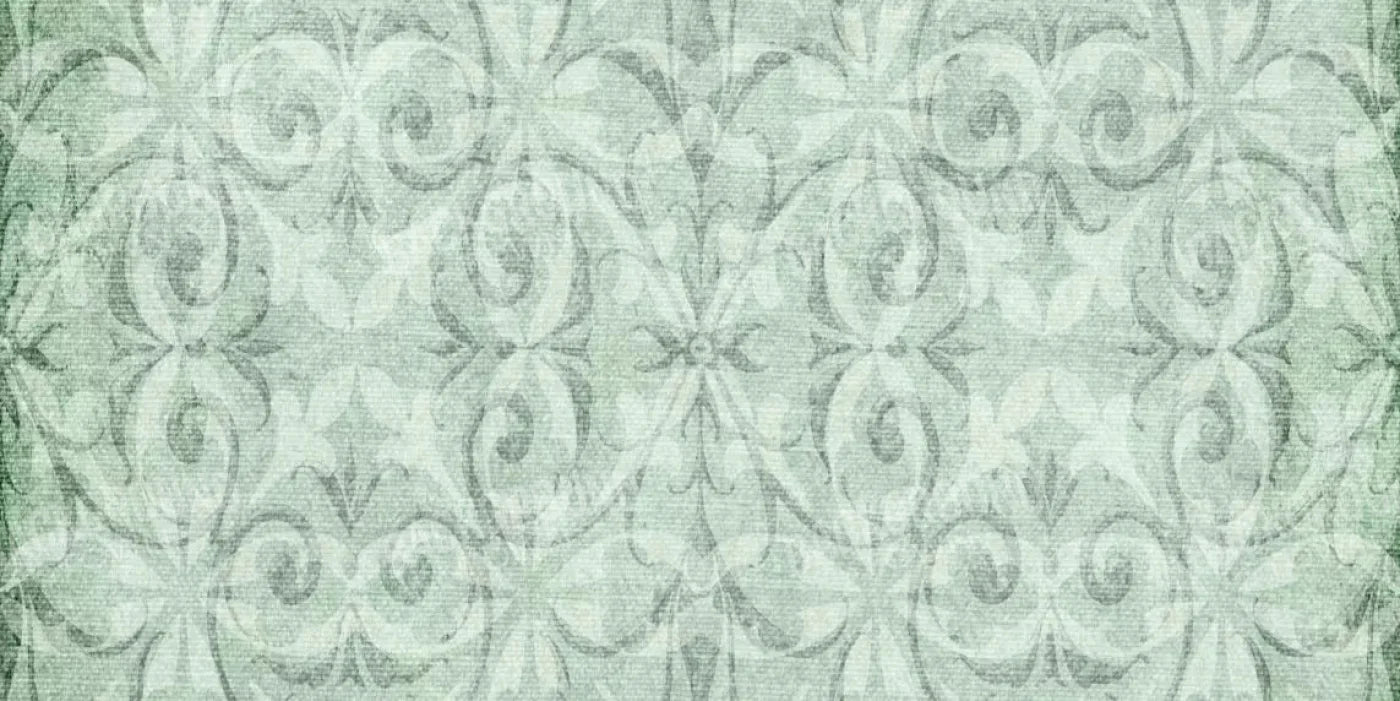 Greenwich 20X10 Ultracloth ( 240 X 120 Inch ) Backdrop