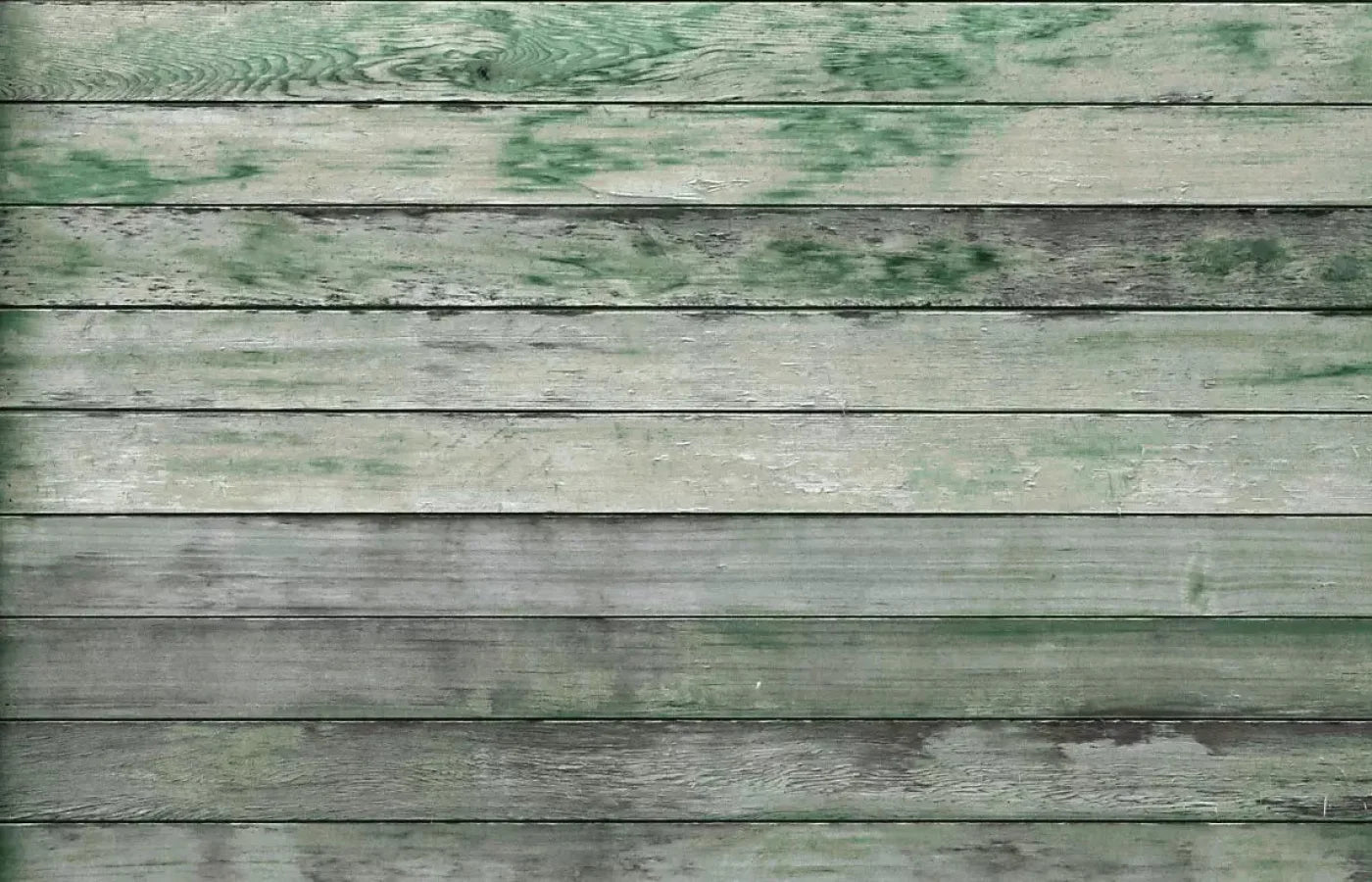 Greenwood 12X8 Ultracloth ( 144 X 96 Inch ) Backdrop