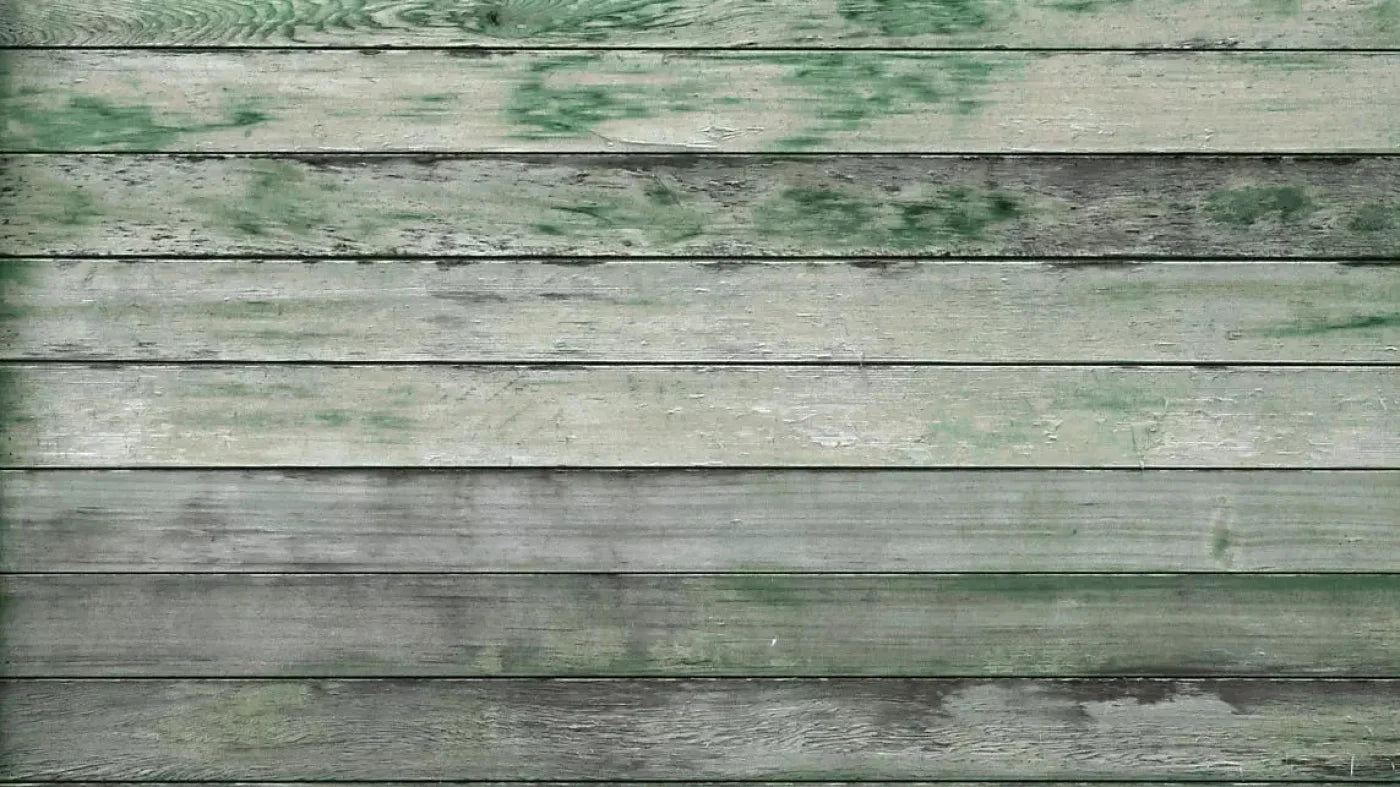 Greenwood 14X8 Ultracloth ( 168 X 96 Inch ) Backdrop