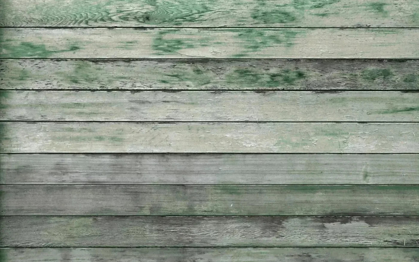 Greenwood 14X9 Ultracloth ( 168 X 108 Inch ) Backdrop
