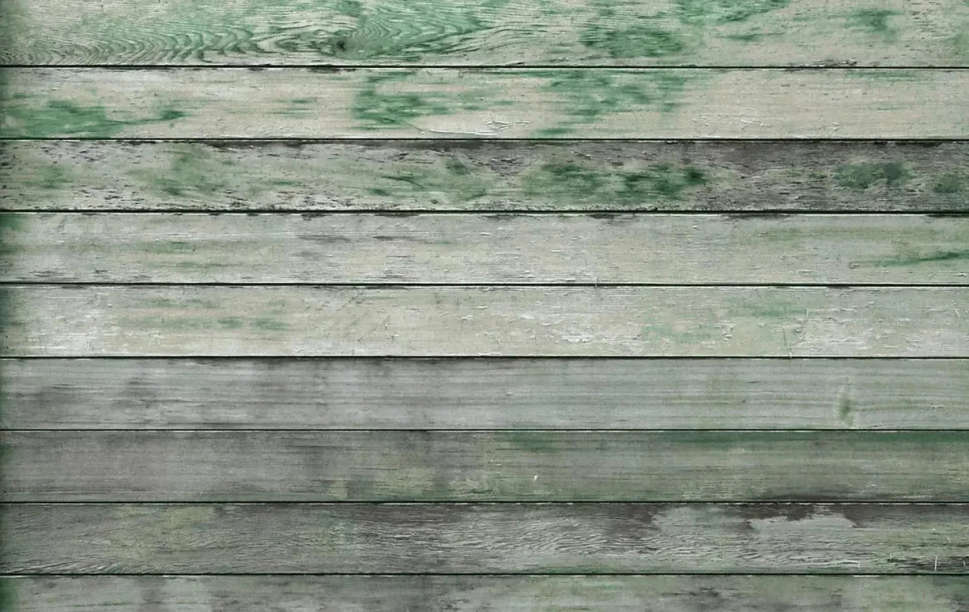 Greenwood 16X10 Ultracloth ( 192 X 120 Inch ) Backdrop