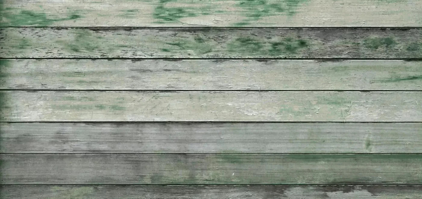 Greenwood 16X8 Ultracloth ( 192 X 96 Inch ) Backdrop