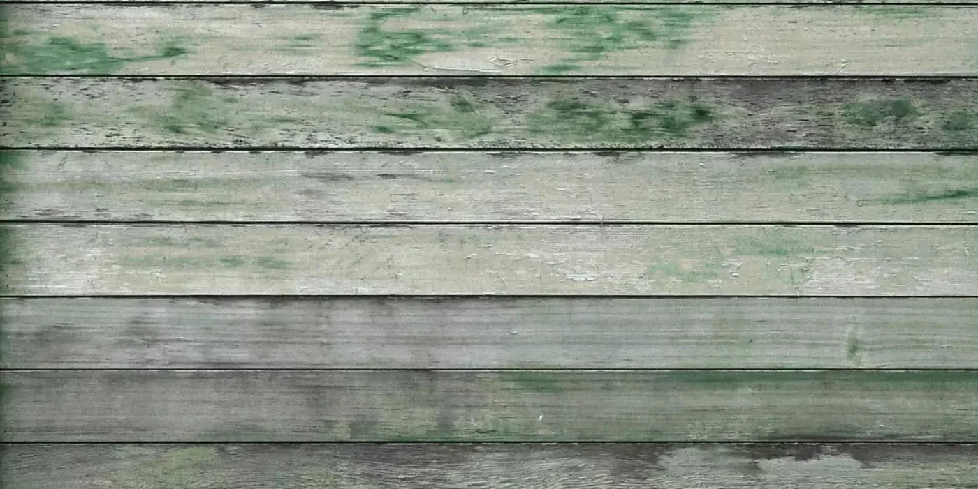 Greenwood 20X10 Ultracloth ( 240 X 120 Inch ) Backdrop