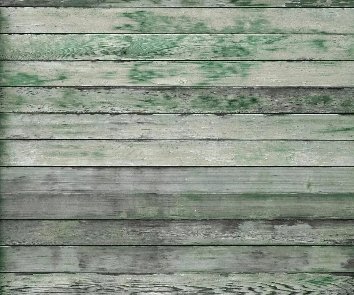 Greenwood 5X42 Fleece ( 60 X 50 Inch ) Backdrop