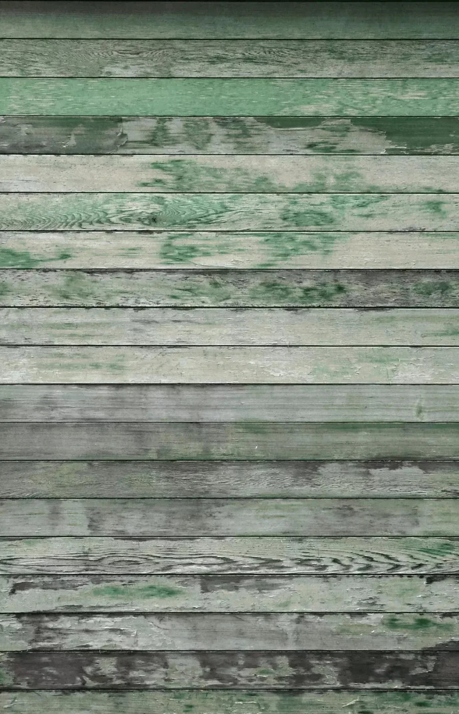 Greenwood 8X12 Ultracloth ( 96 X 144 Inch ) Backdrop