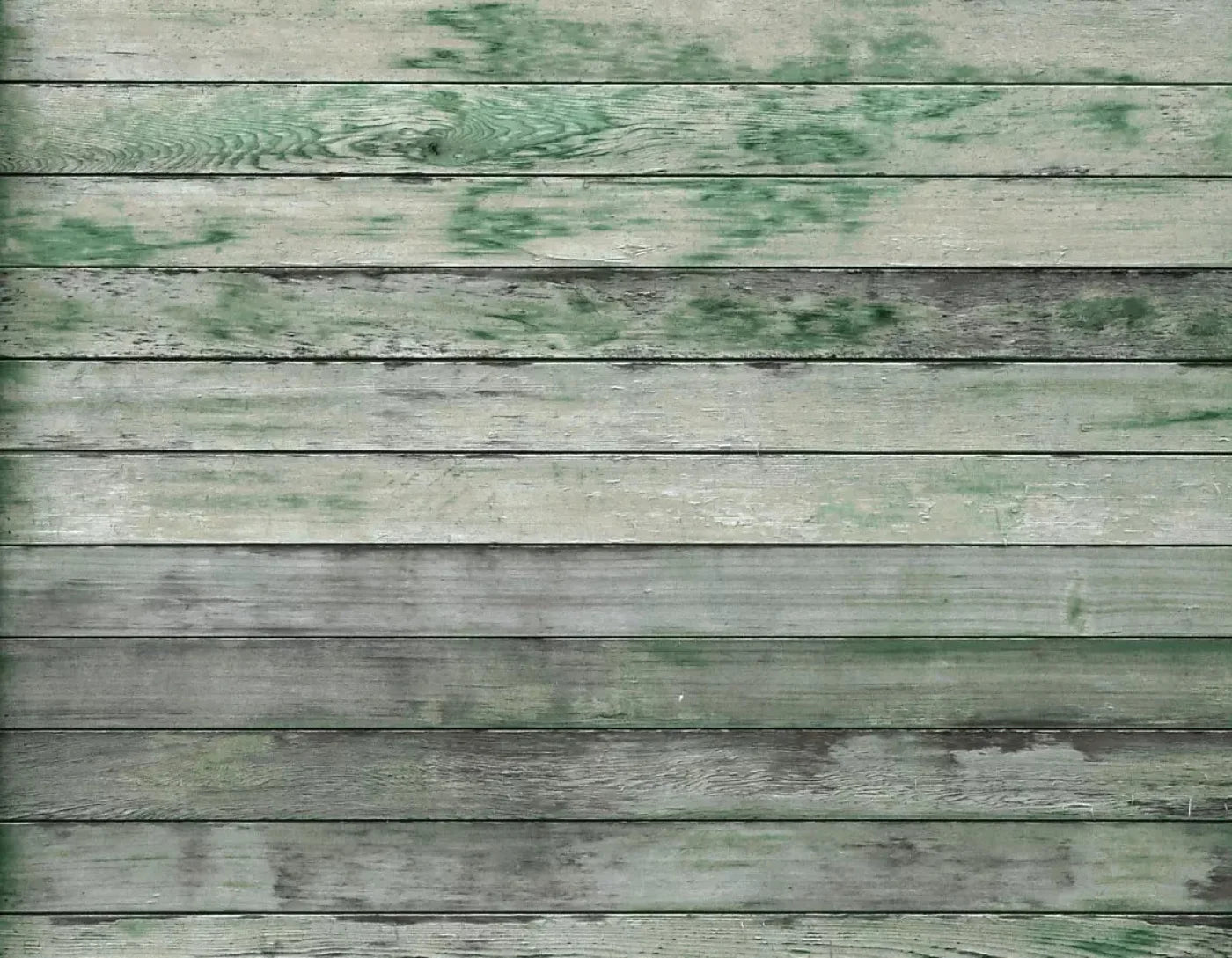 Greenwood 8X6 Fleece ( 96 X 72 Inch ) Backdrop