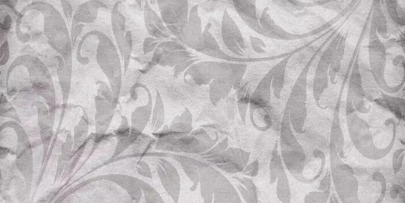 Greyleaf 20X10 Ultracloth ( 240 X 120 Inch ) Backdrop