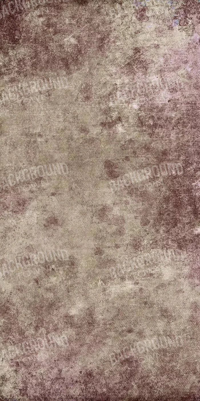 Penny 10X20 Ultracloth ( 120 X 240 Inch ) Backdrop