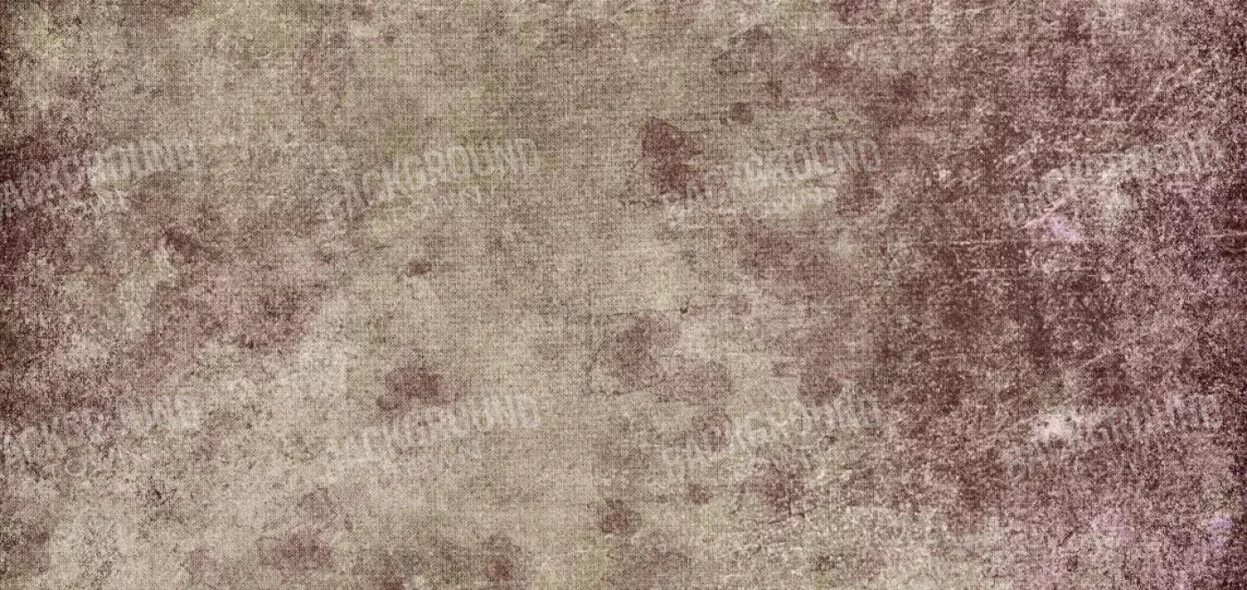 Penny 16X8 Ultracloth ( 192 X 96 Inch ) Backdrop