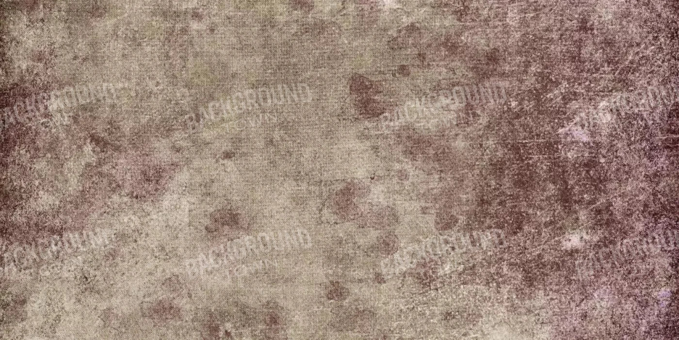 Penny 20X10 Ultracloth ( 240 X 120 Inch ) Backdrop