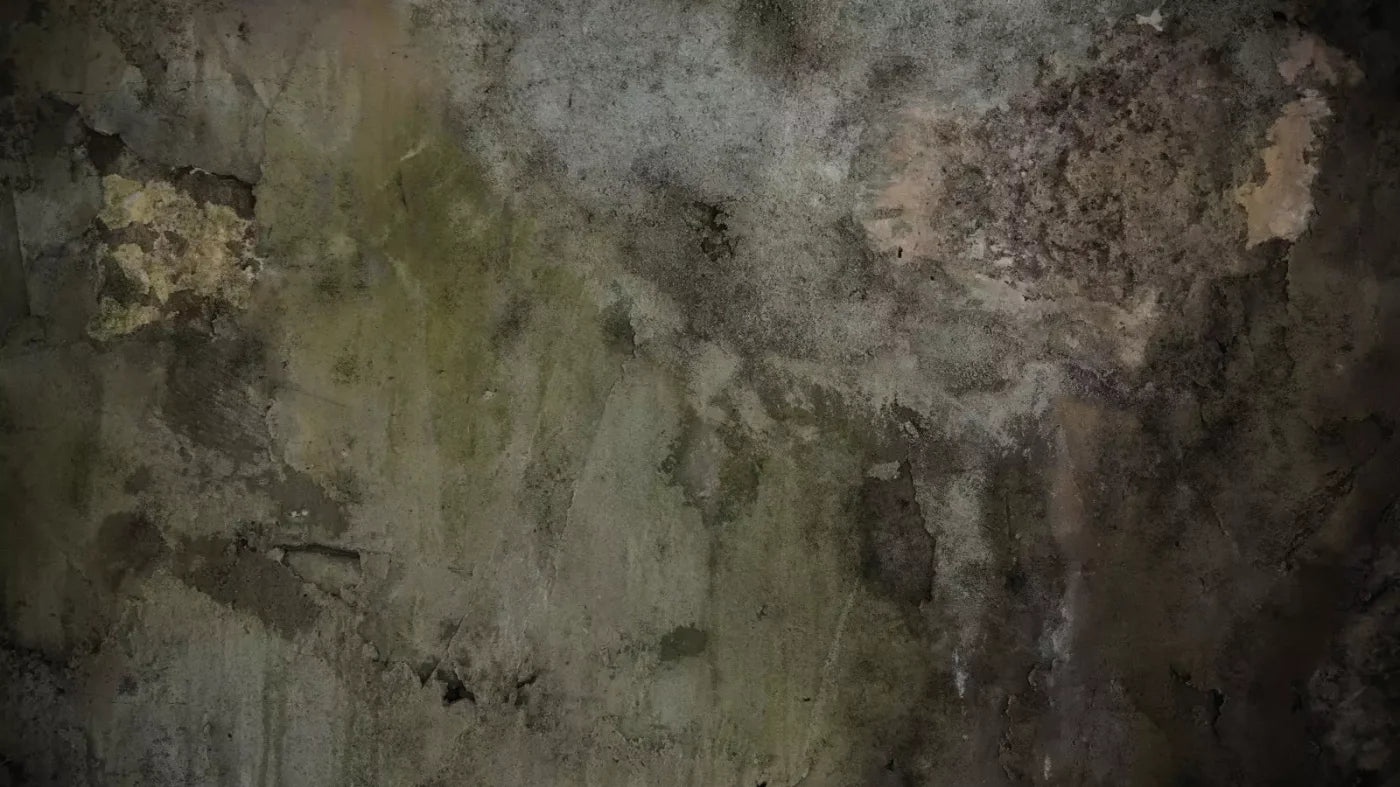 Grunge Stonewalled 14’X8’ Ultracloth (168 X 96 Inch) Backdrop