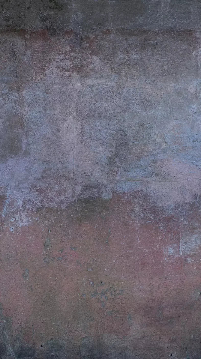 Grunge Wall 8X14 Ultracloth ( 96 X 168 Inch ) Backdrop