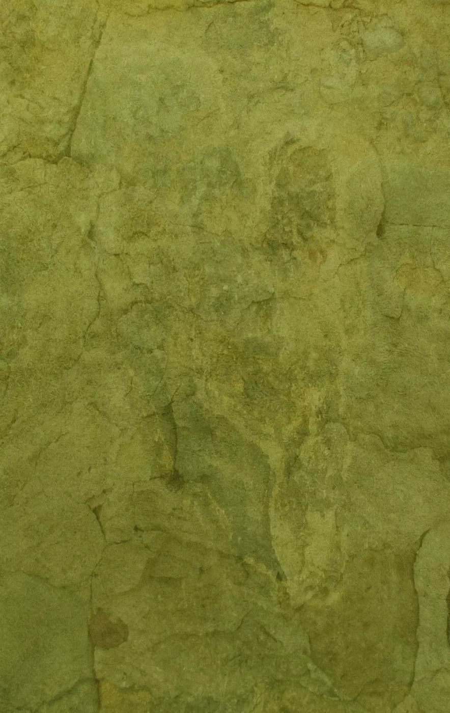 Guacamole 10X16 Ultracloth ( 120 X 192 Inch ) Backdrop