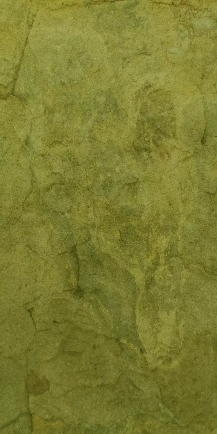 Guacamole 10X20 Ultracloth ( 120 X 240 Inch ) Backdrop