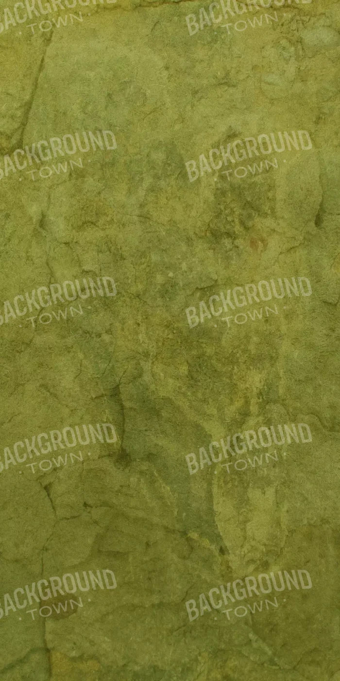 Guacamole 10X20 Ultracloth ( 120 X 240 Inch ) Backdrop