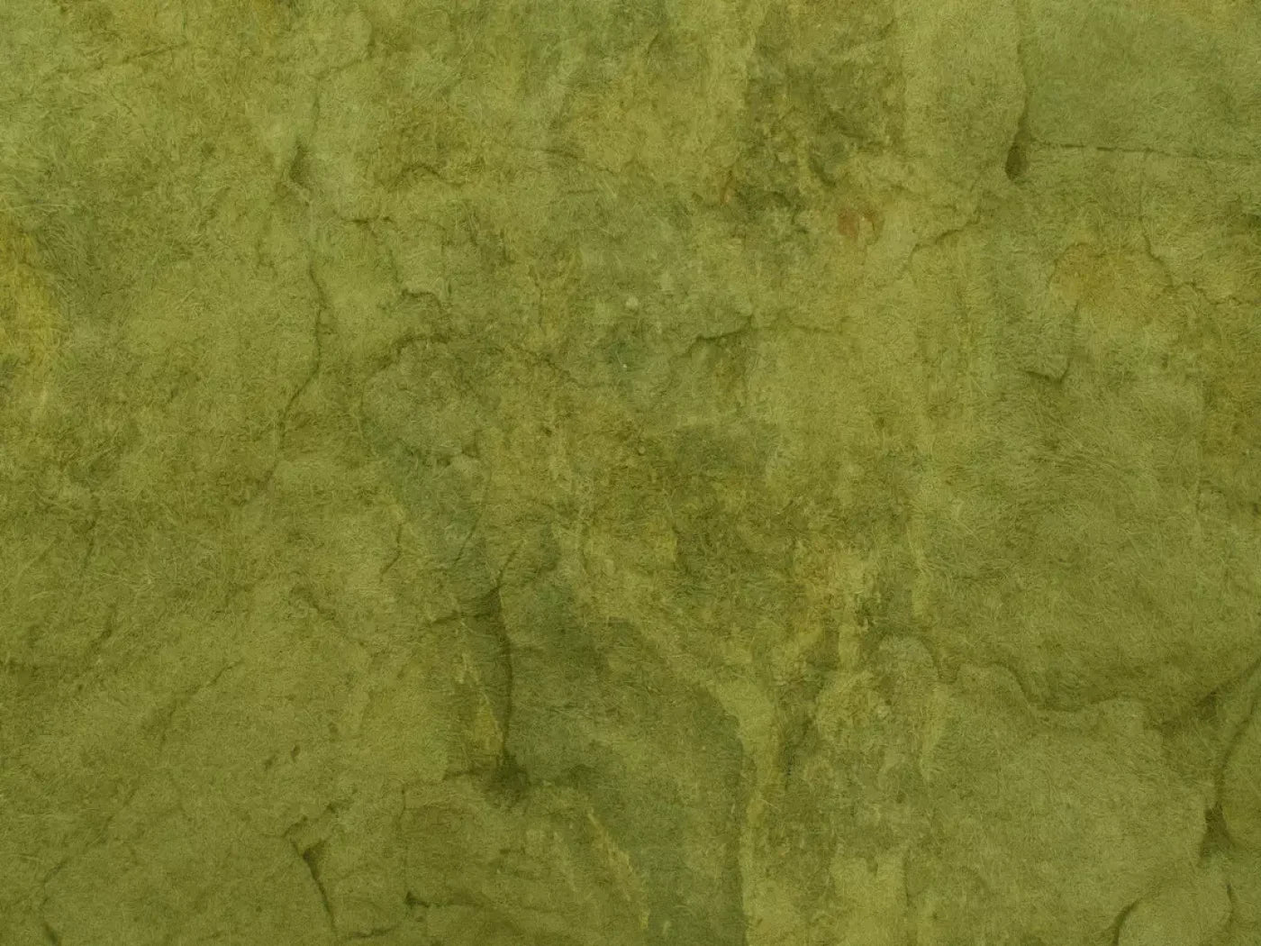 Guacamole 10X8 Fleece ( 120 X 96 Inch ) Backdrop
