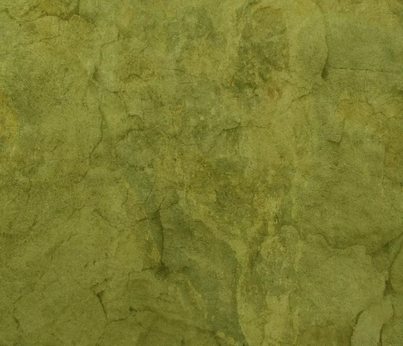 Guacamole 12X10 Ultracloth ( 144 X 120 Inch ) Backdrop