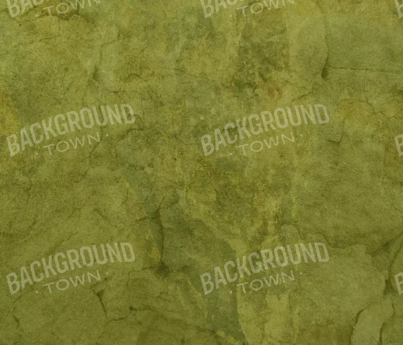 Guacamole 12X10 Ultracloth ( 144 X 120 Inch ) Backdrop