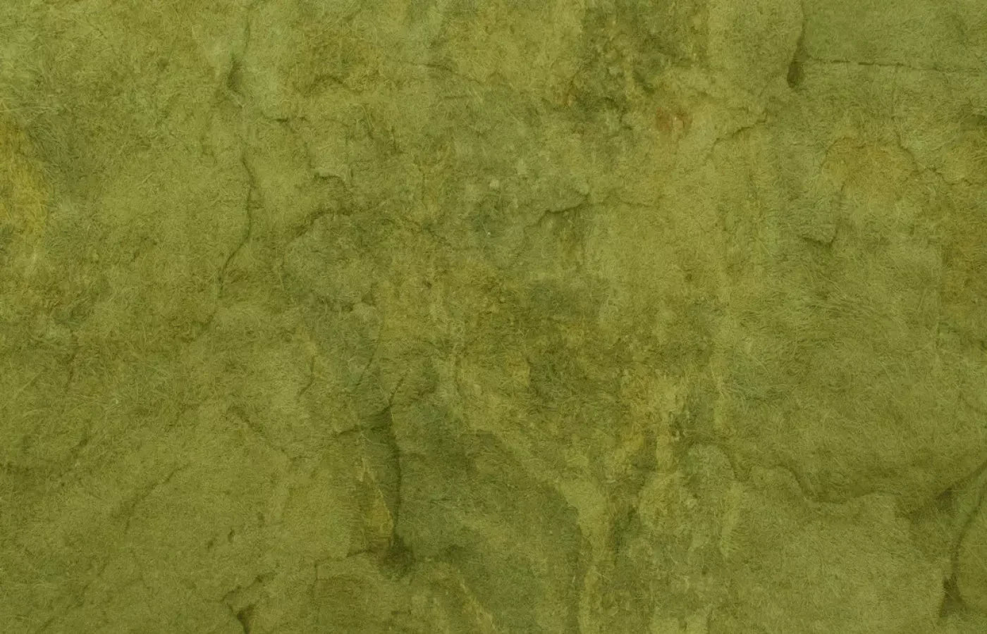 Guacamole 12X8 Ultracloth ( 144 X 96 Inch ) Backdrop