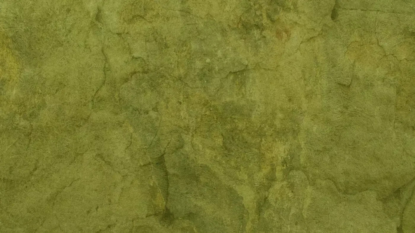 Guacamole 14X8 Ultracloth ( 168 X 96 Inch ) Backdrop