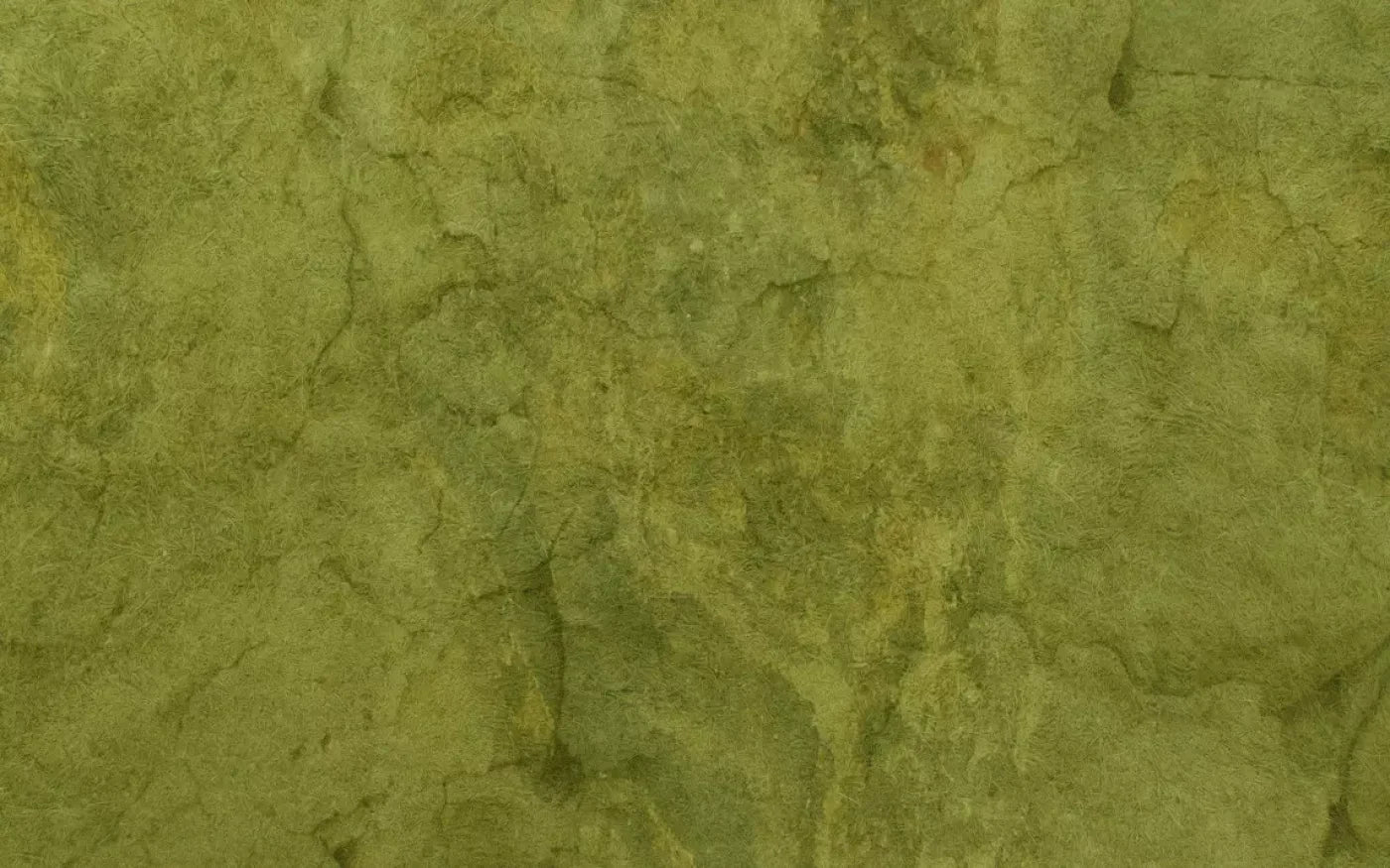Guacamole 14X9 Ultracloth ( 168 X 108 Inch ) Backdrop