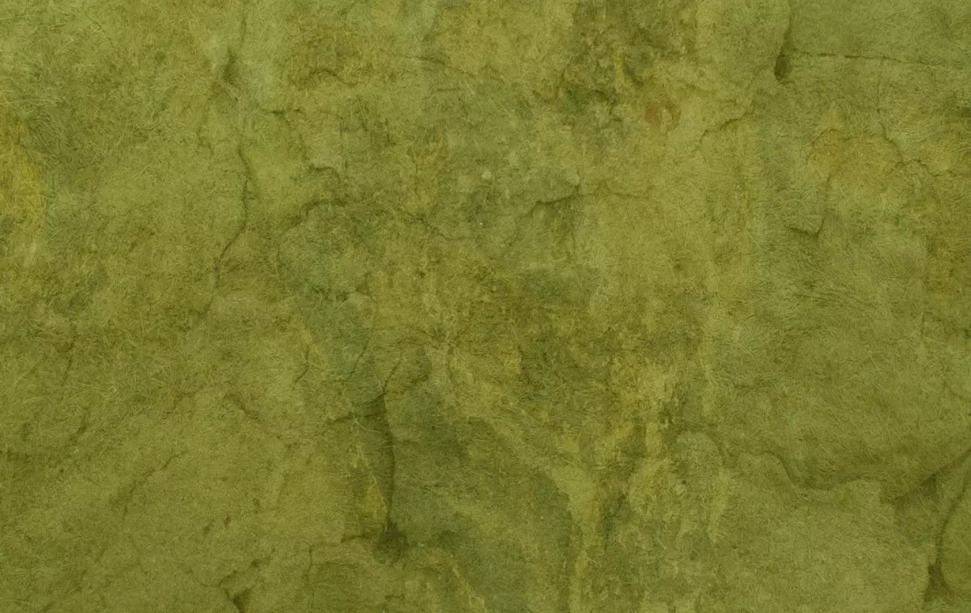 Guacamole 16X10 Ultracloth ( 192 X 120 Inch ) Backdrop