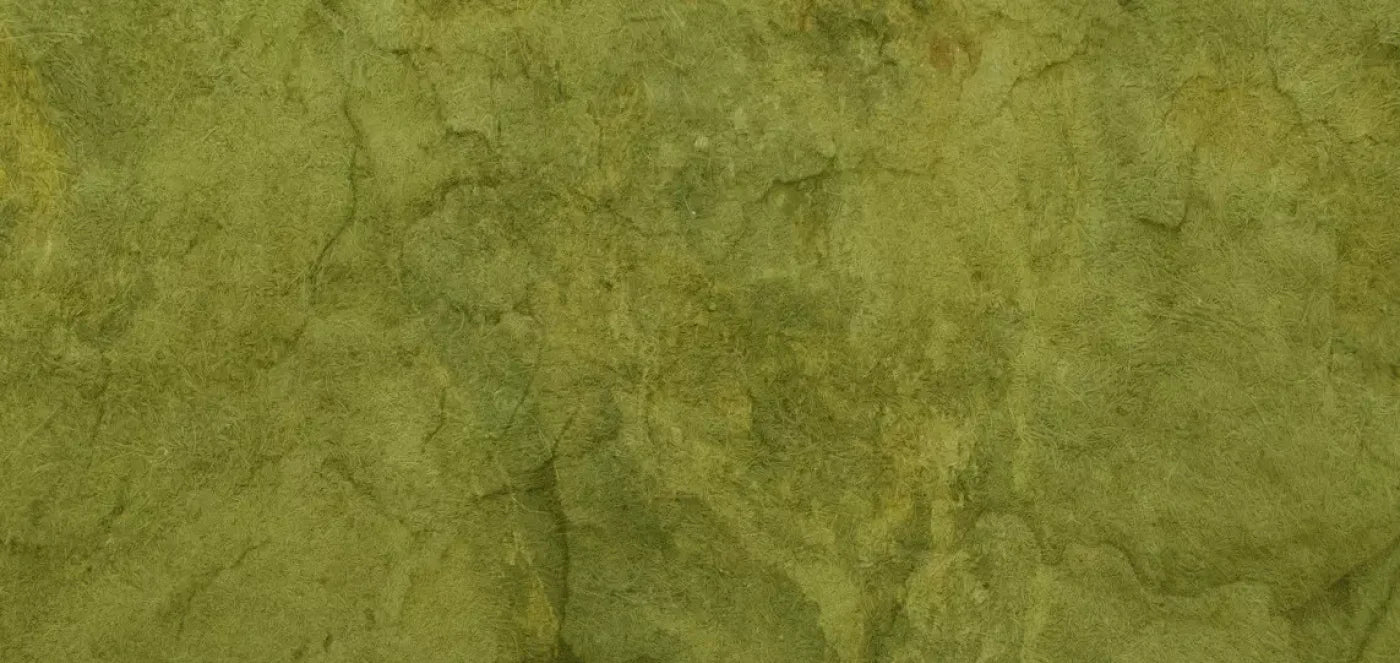 Guacamole 16X8 Ultracloth ( 192 X 96 Inch ) Backdrop