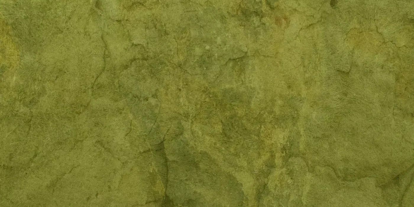 Guacamole 20X10 Ultracloth ( 240 X 120 Inch ) Backdrop
