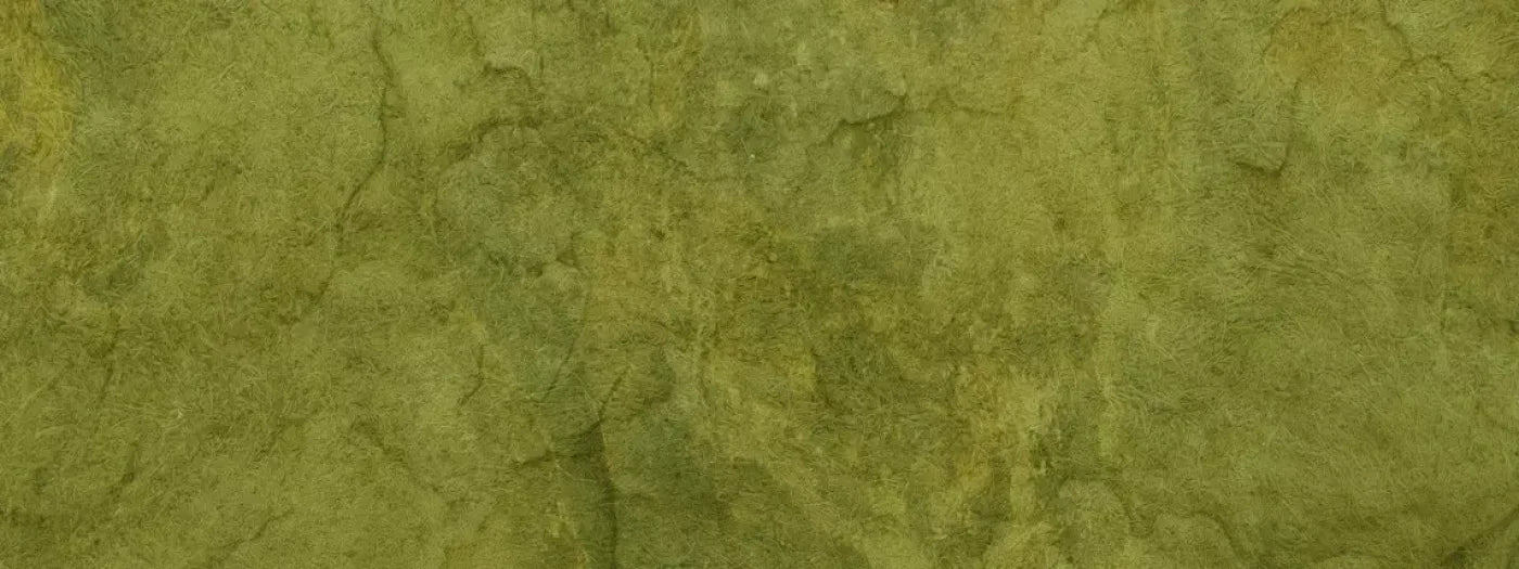 Guacamole 20X8 Ultracloth ( 240 X 96 Inch ) Backdrop