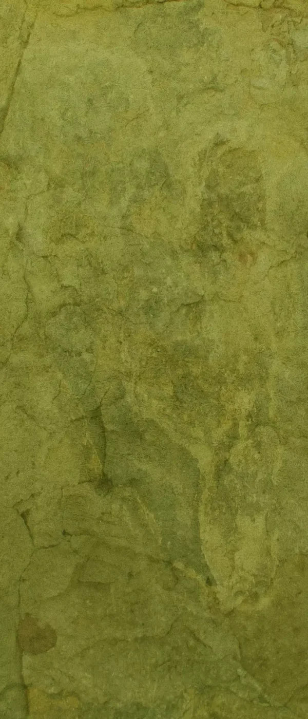 Guacamole 5X12 Ultracloth For Westcott X-Drop ( 60 X 144 Inch ) Backdrop