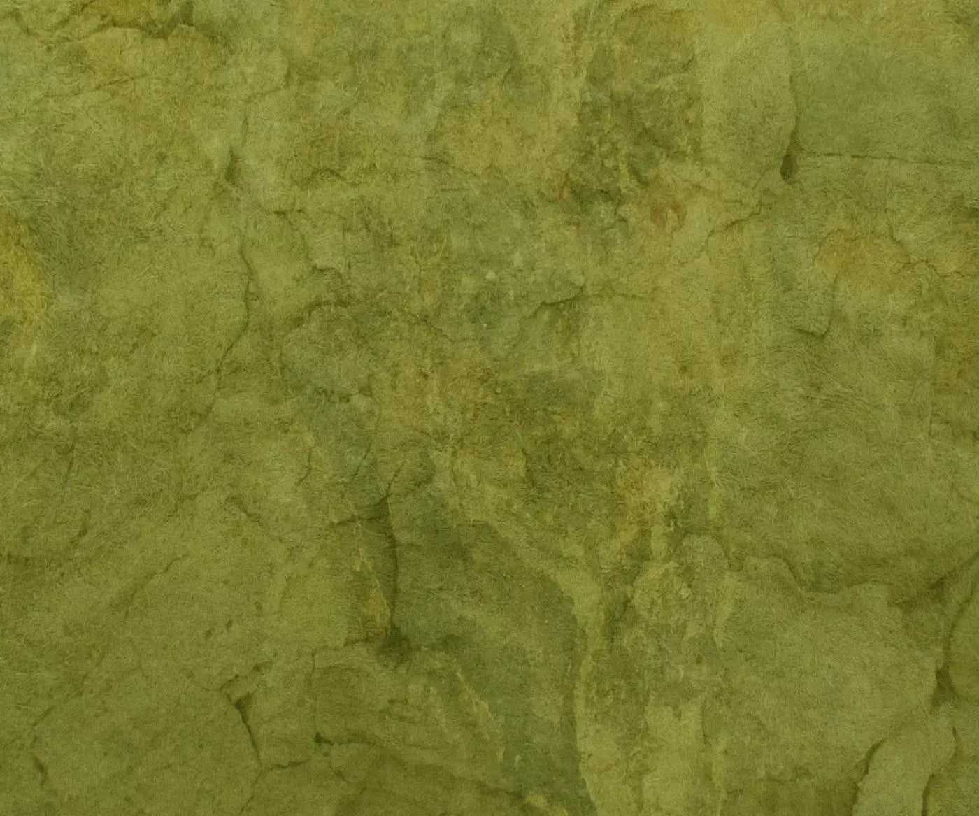 Guacamole 5X42 Fleece ( 60 X 50 Inch ) Backdrop