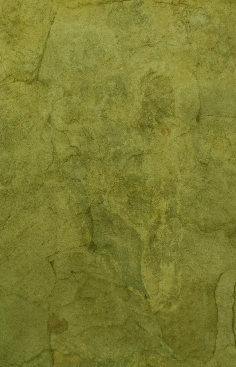 Guacamole 8X12 Ultracloth ( 96 X 144 Inch ) Backdrop