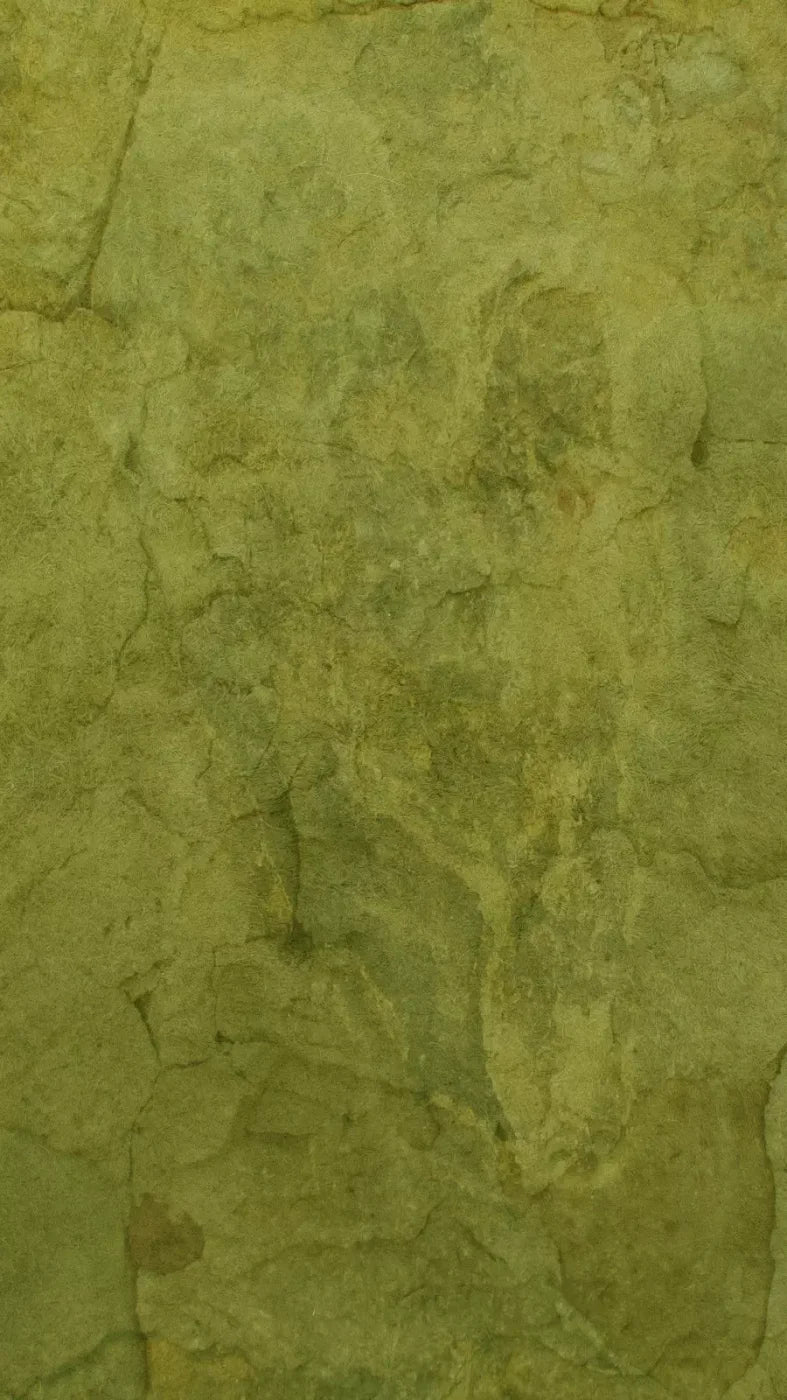 Guacamole 8X14 Ultracloth ( 96 X 168 Inch ) Backdrop