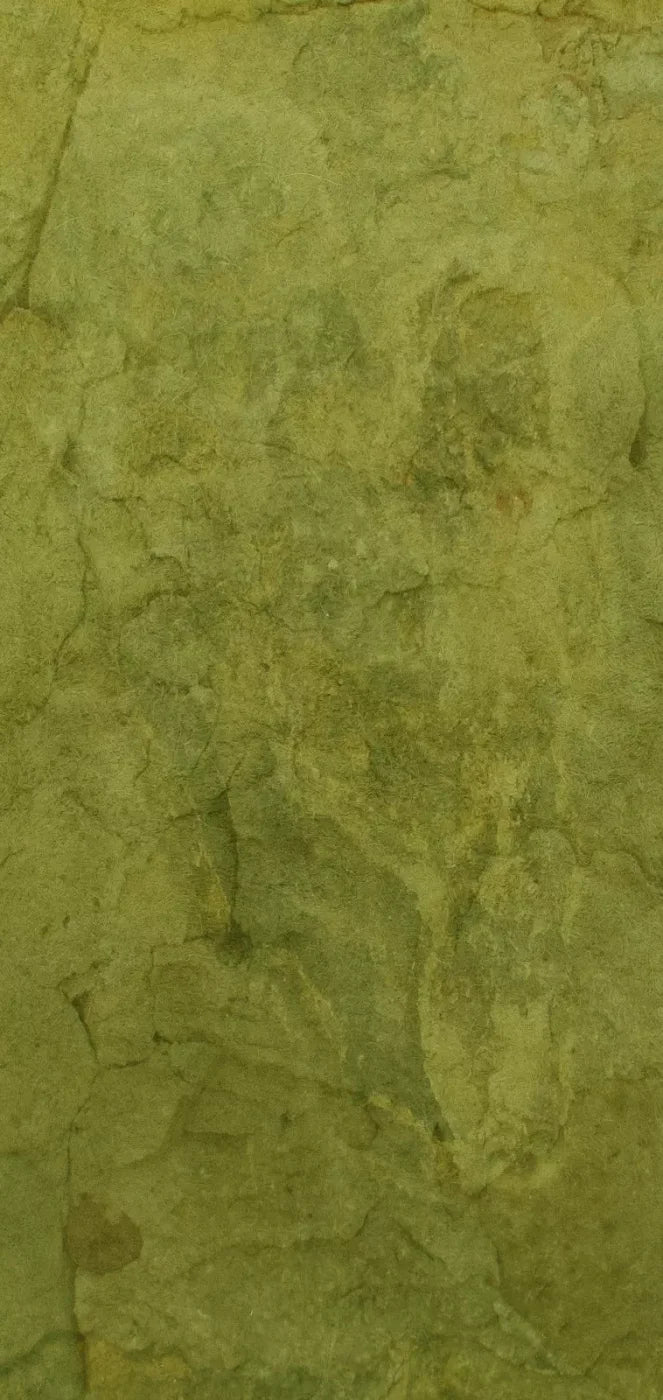 Guacamole 8X16 Ultracloth ( 96 X 192 Inch ) Backdrop