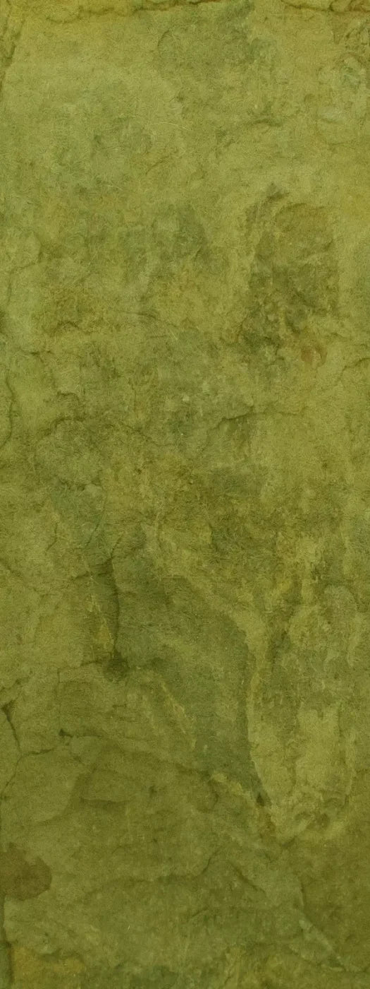 Guacamole 8X20 Ultracloth ( 96 X 240 Inch ) Backdrop
