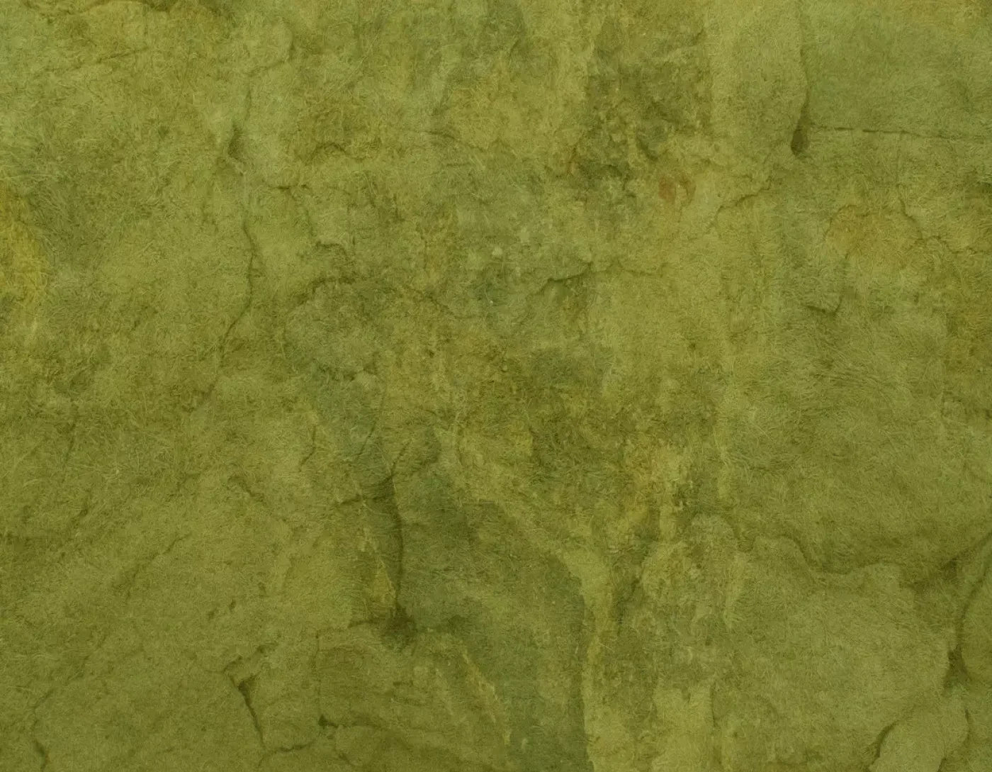 Guacamole 8X6 Fleece ( 96 X 72 Inch ) Backdrop