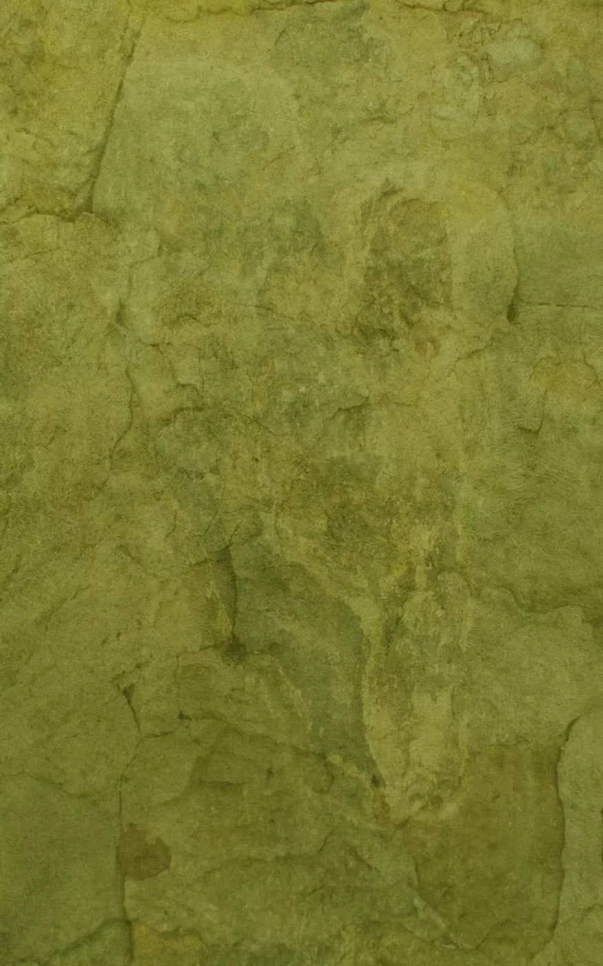 Guacamole 9X14 Ultracloth ( 108 X 168 Inch ) Backdrop