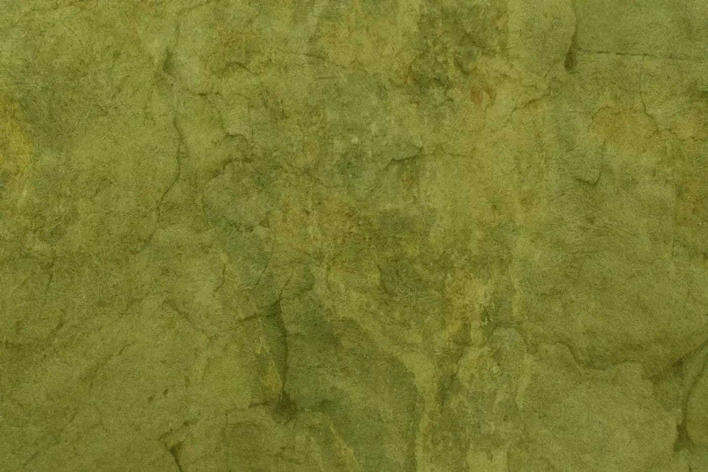 Guacamole Backdrop