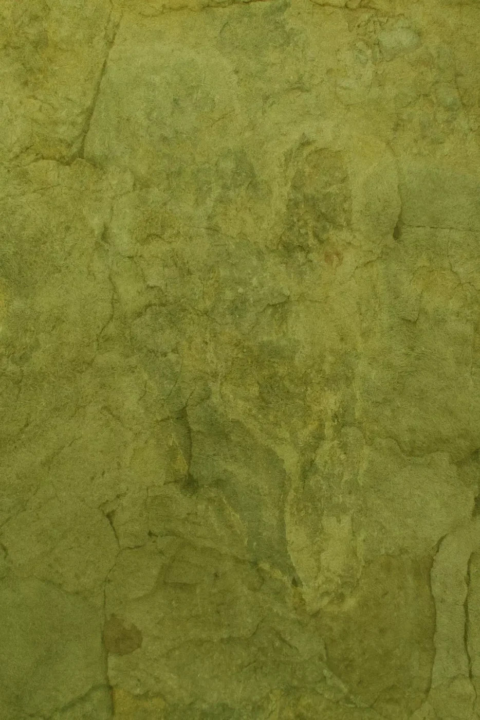 Guacamole Backdrop