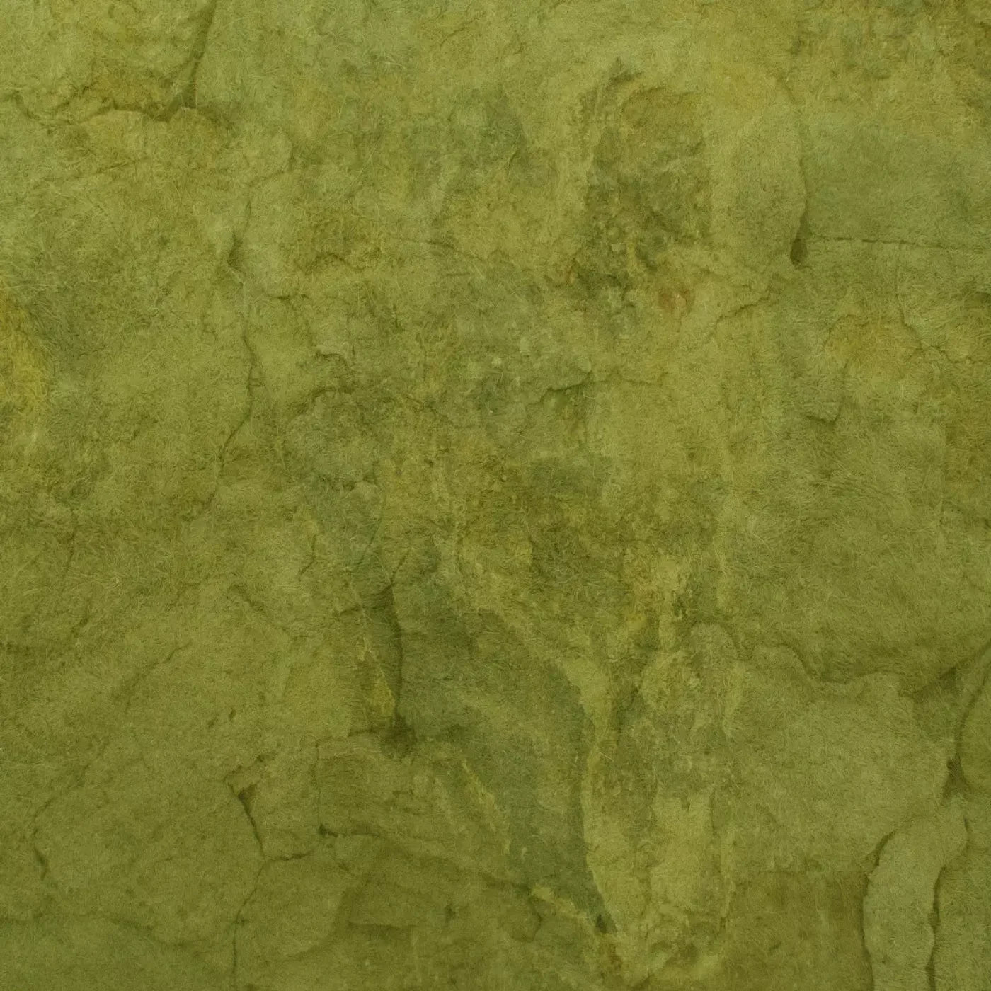 Guacamole Backdrop
